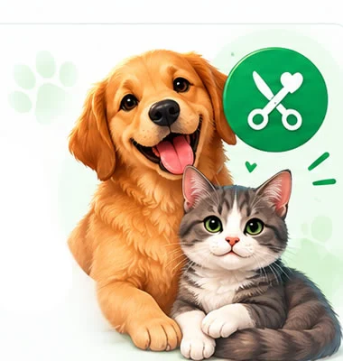kenkovet-castracao.webp